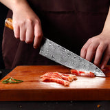 Shikoku Chef's Knife